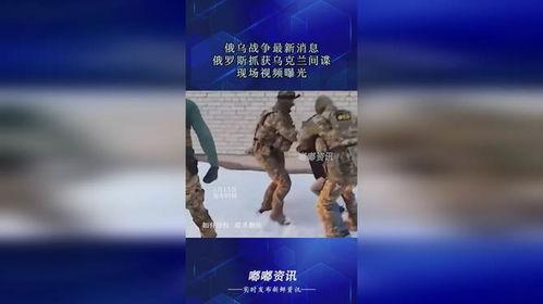 俄国间谍爆料视频大全最新,最新视频大全深度解析  第3张